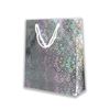 Imagen de Bolsa de regalo metalizada brillosa