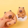 Imagen de Capibara Squishy Juguete anti estrés