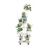 Imagen de Soporte para plantas - 6 Portamacetas + Estante inferior doble