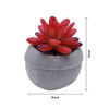 Imagen de Plantita cactus decorativa