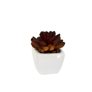 Imagen de Plantas decorativas cactus en florero  ceramica