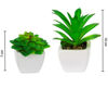 Imagen de Plantas decorativas cactus en florero  ceramica