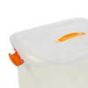 Imagen de Caja organizadora plastica con tapa y asa