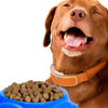Imagen de Plato para perro con patas