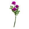 Imagen de Flor ramo rosas