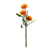 Imagen de Flor ramo tipo clavel