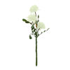 Imagen de Flor ramo tipo clavel