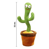 Imagen de Cactus bailarín