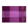 Imagen de Mantel Individual rectangular en PVC
