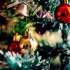 Imagen de Bola esfera navidad lisa 12 unidades