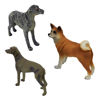 Imagen de Perros Juguete - Animales Perros Diseños Surtidos