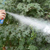 Imagen de Nieve en spray