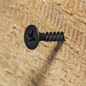 Imagen de Tornillo Philips paneles de yeso 60 unidades