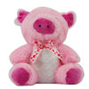 Imagen de Peluche animales  para colgar