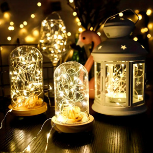 Imagen de Guirnalda Luciérnaga x 20 Luces Led
