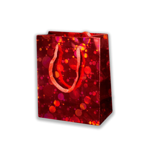Imagen de Bolsa de regalo lisa brillosa