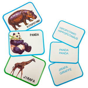 Imagen de Tarjetas de aprendizaje en español - Diseños temáticos surtidos