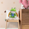 Imagen de Peluche Sapo