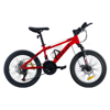 Imagen de Bicicleta montaña rodado 20 amortiguacion delantera lo ideal