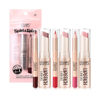 Imagen de Labial Ushas + delineador - US015