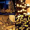 Imagen de Navidad 100 luces arroz blancas- cable 4 mts verde