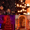 Imagen de Navidad 100 luces arroz calidas-cable 4 mts verde