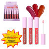 Imagen de Lapiz Ushas labial liquido con aplicador- UC137A
