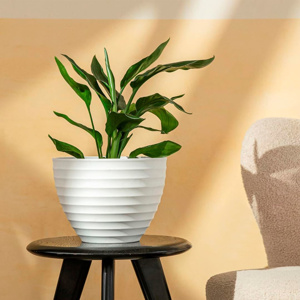 Imagen de Maceta plastica 25x19cm. blanca