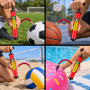 Imagen de Inflador bicicleta, pelota y globos